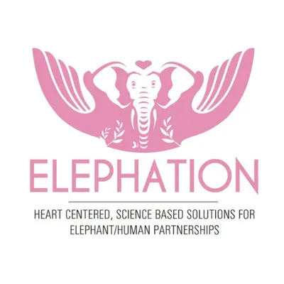 Elephation